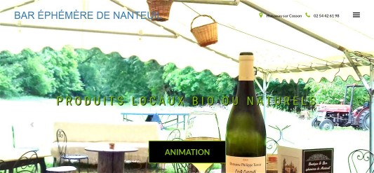 Création site web Amboise, référencement naturel Indre et Loire, 37, agence web Amboise, création site internet 37, https://321concept.com